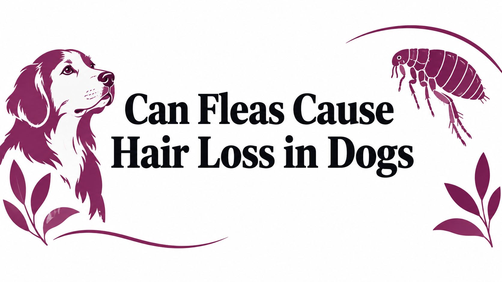 Can Fleas Cause Hair Loss in Dogs