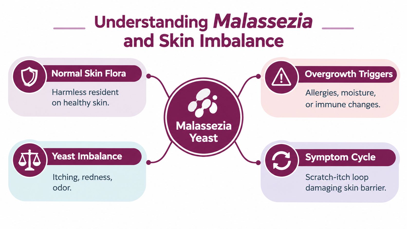 An infographic titled Understanding Malassezia and Skin Imbalance, explaining yeast, triggers, symptoms, and the resulting cycle.