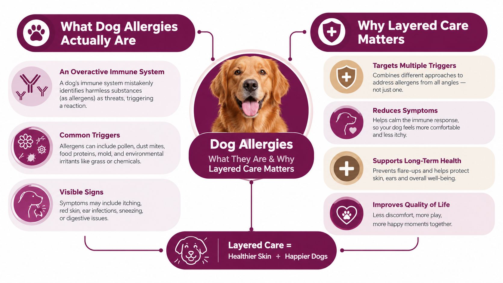 An infographic explaining how dog allergies work and the benefits of using a layered care approach.