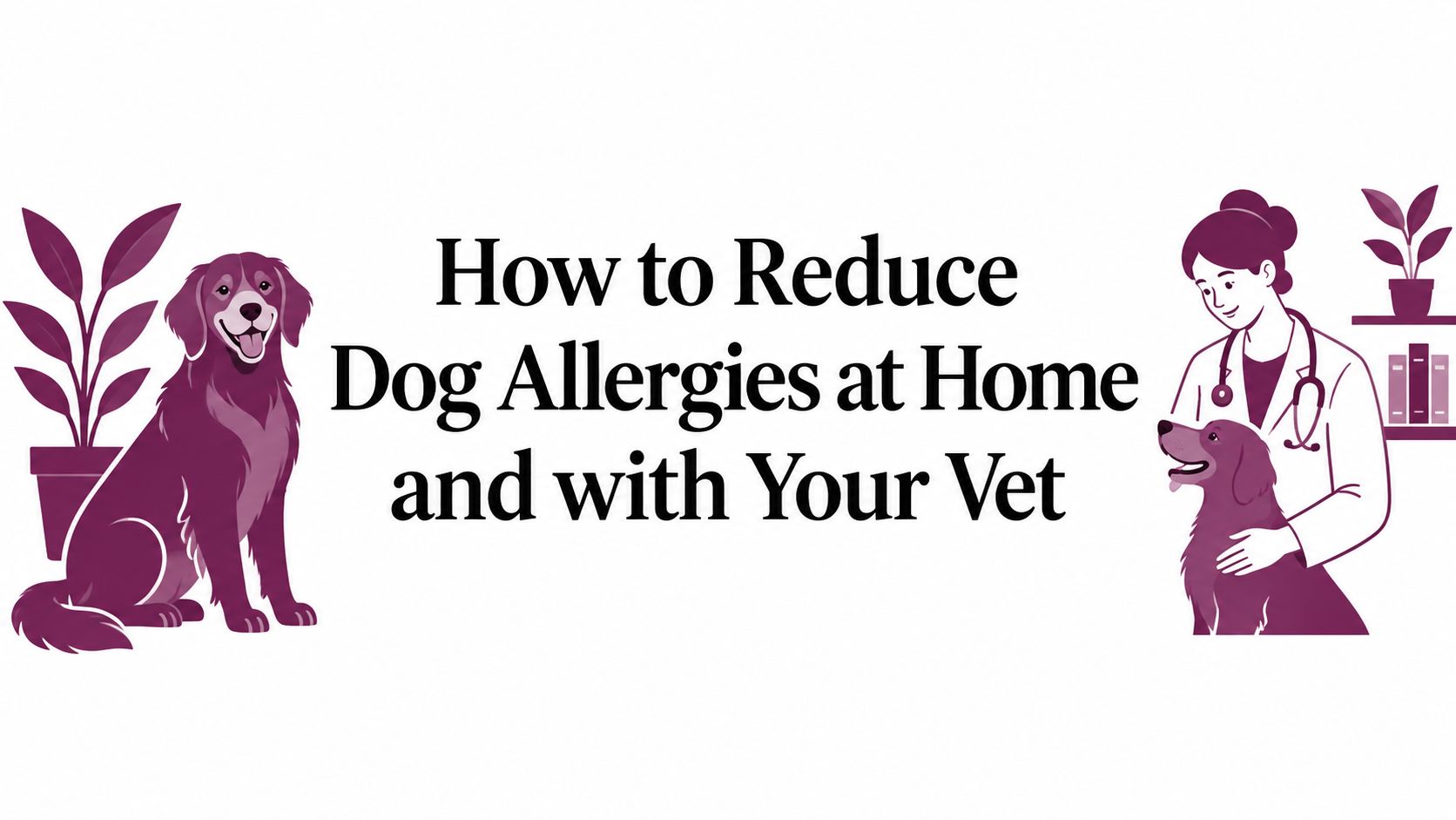 How to Reduce Dog Allergies at Home and with Your Vet