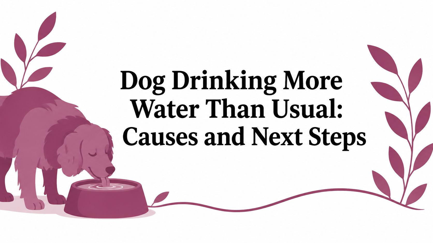 Dog Drinking More Water Than Usual: Causes and Next Steps