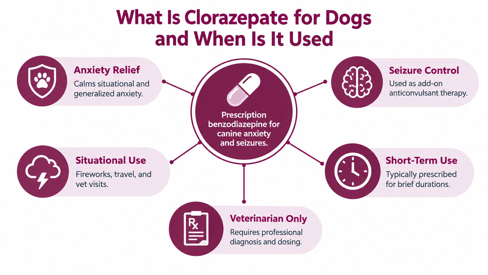 An infographic explaining the uses of Clorazepate for dogs, including anxiety relief, seizure control, and situational use.