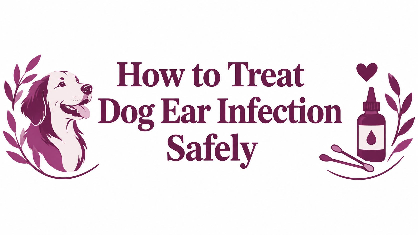 How to Treat Dog Ear Infection Safely
