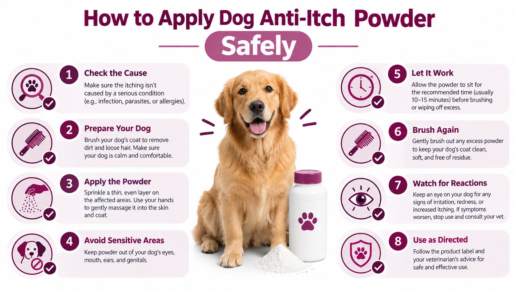 An infographic titled How to Apply Dog Anti-Itch Powder Safely, showing eight numbered steps for pet owners.