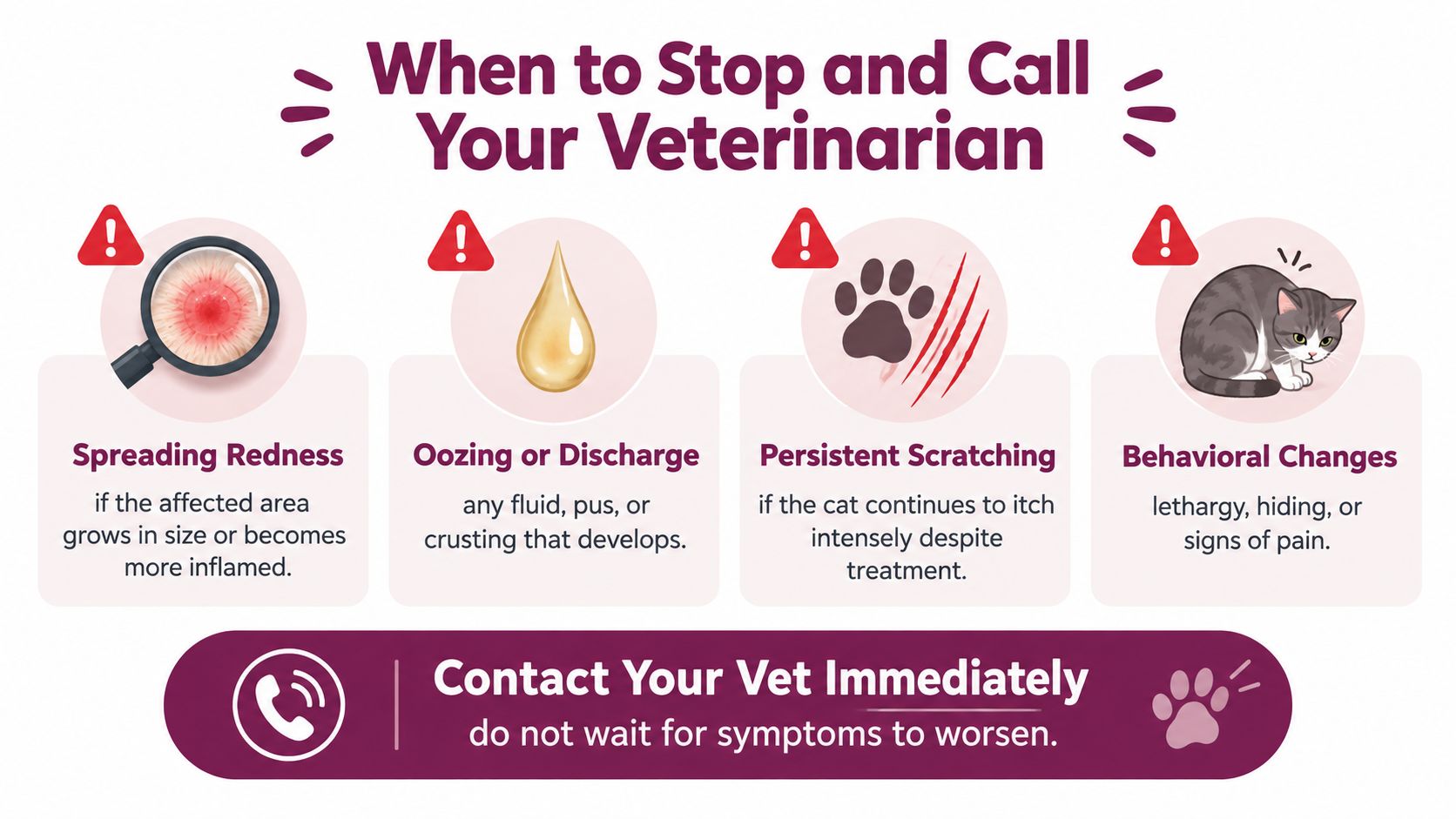 An informative graphic outlining four critical symptoms in cats that require a visit to the veterinarian.