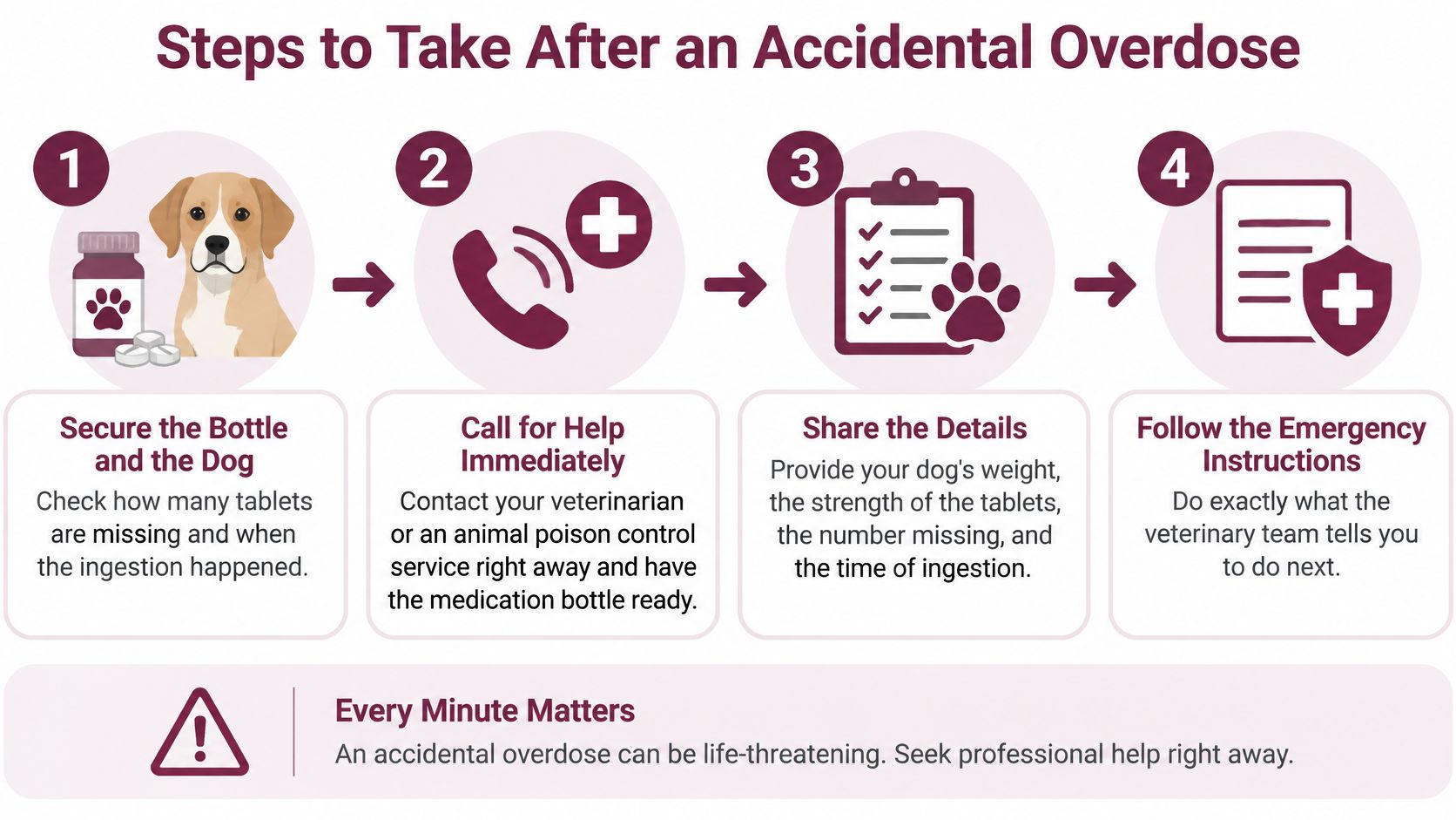 An infographic showing four steps to take when a dog has an accidental medication overdose.