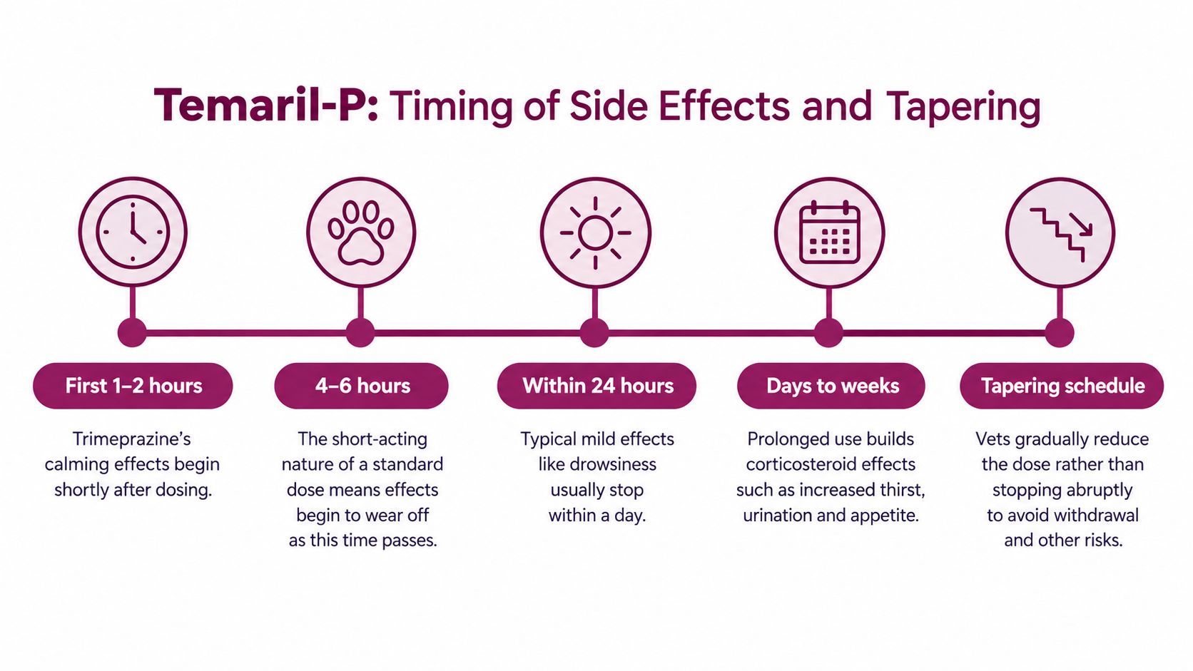 A timeline graphic showing the timing of Temaril-P side effects and the recommended tapering schedule for dogs.