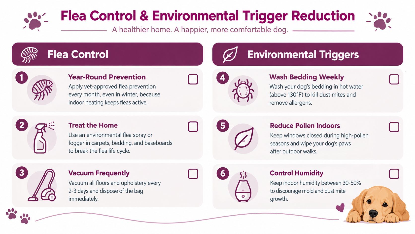 An infographic checklist for dog owners covering flea control and environmental trigger reduction steps for pet health.