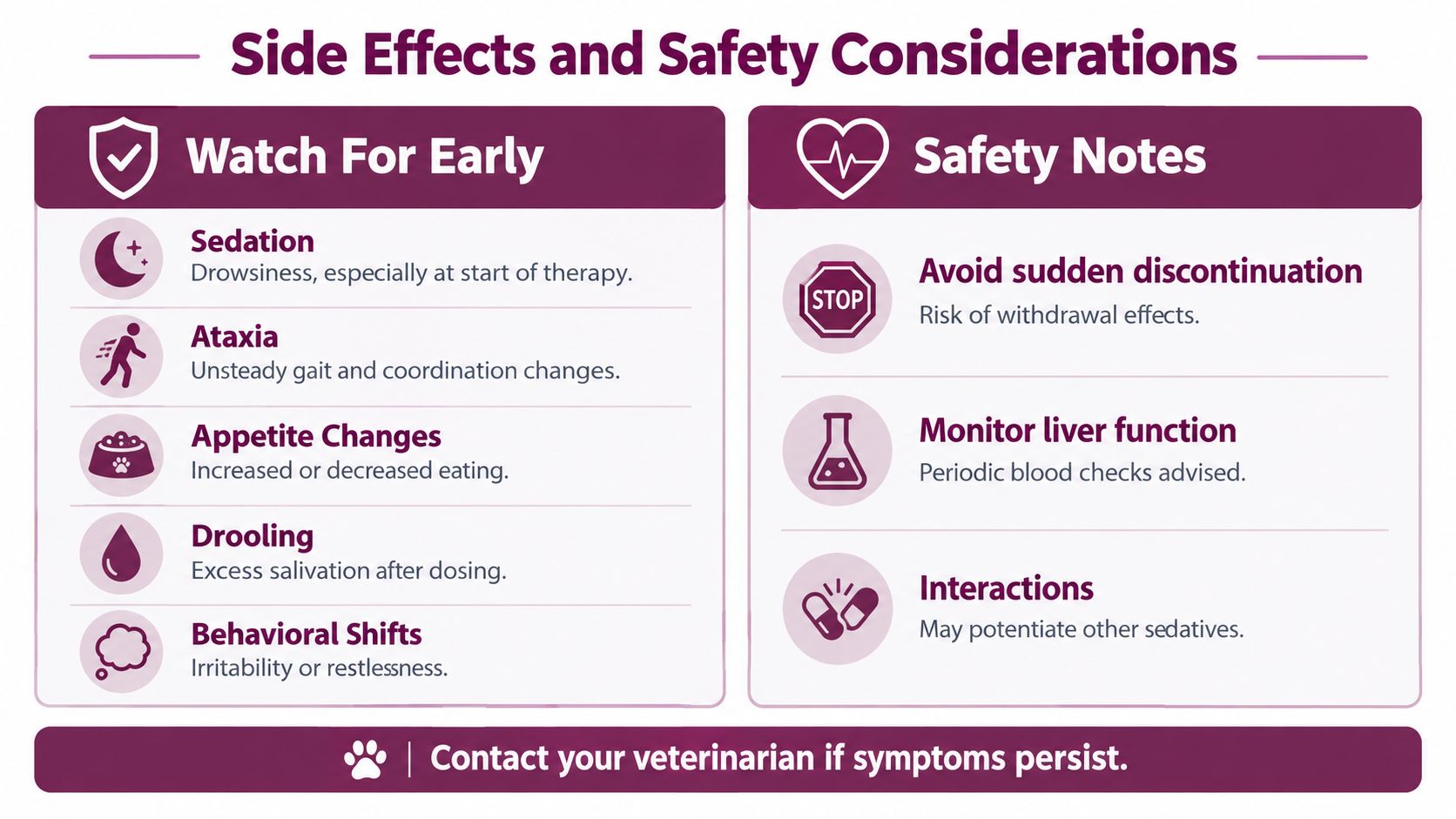 A safety infographic for owners titled Side Effects and Safety Considerations listing signs and monitoring advice for dogs.