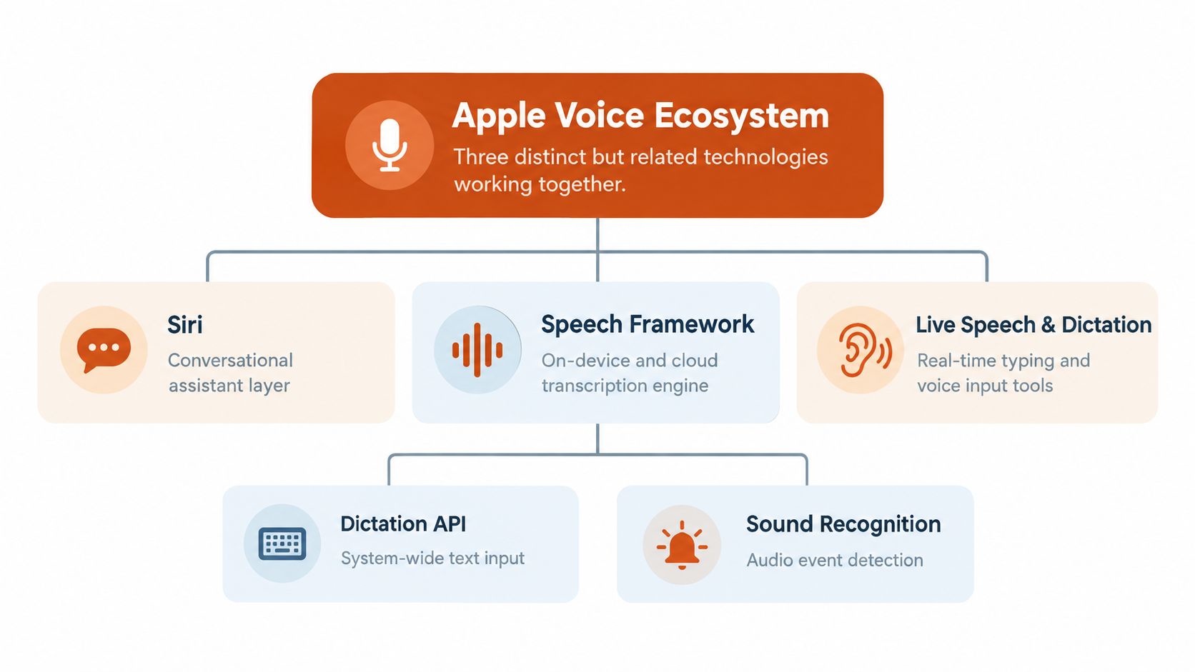 A diagram illustrating the Apple Voice Ecosystem, consisting of Siri, the Speech Framework, and Live Speech and Dictation.