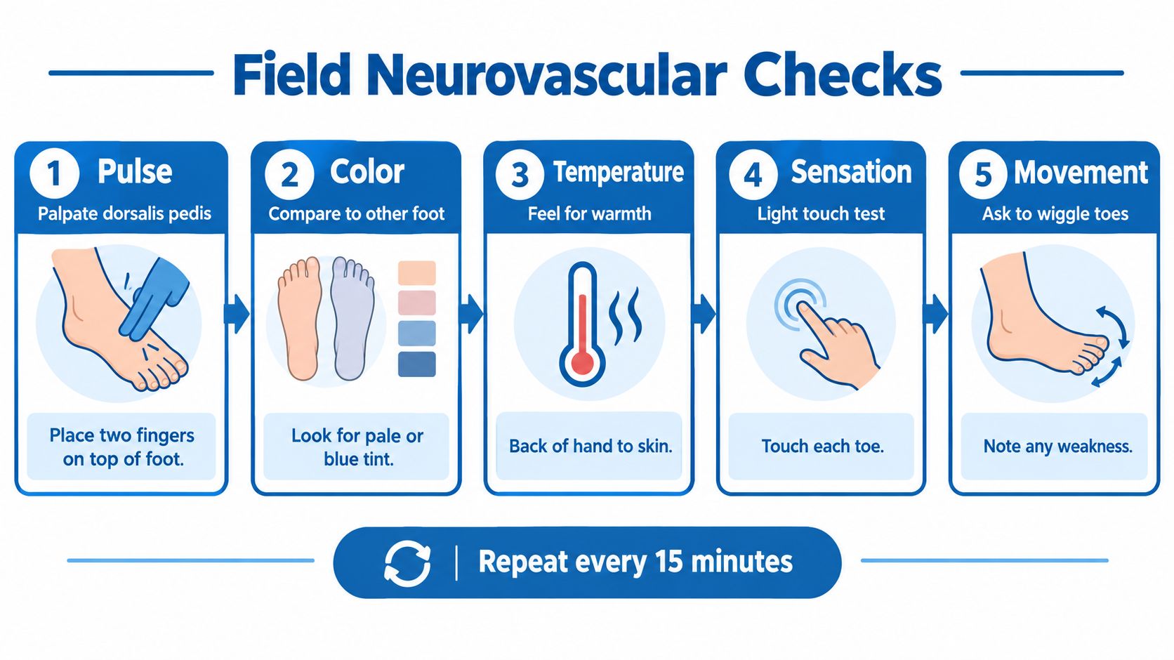A diagram illustrating the five steps of performing a field neurovascular check on a foot.
