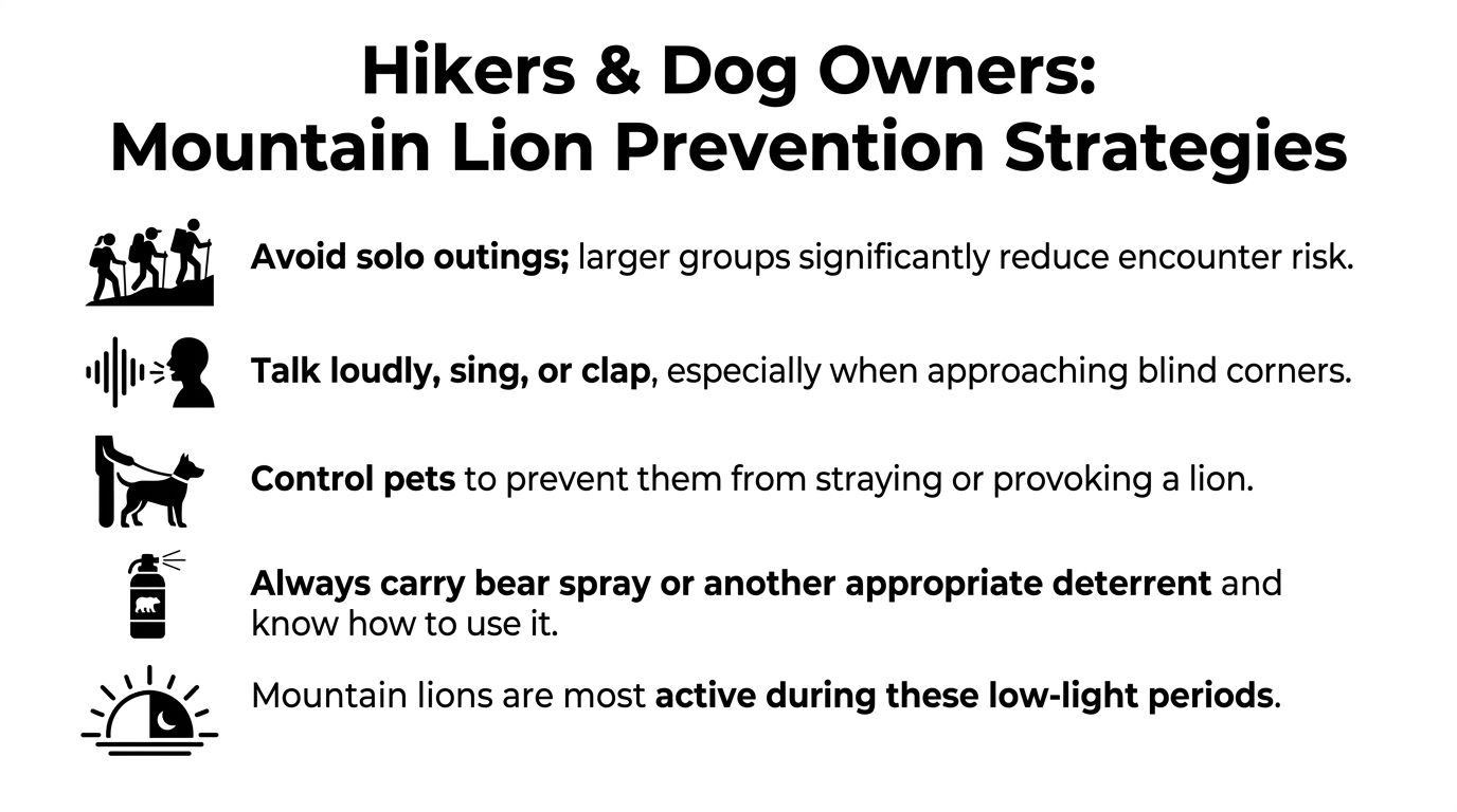 A safety infographic titled Mountain Lion Prevention Strategies for hikers and dog owners with illustrated safety icons.