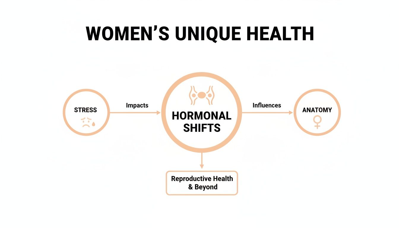 Diagram illustrating women's unique health, showing stress impacting hormonal shifts, influencing anatomy, and affecting reproductive health.