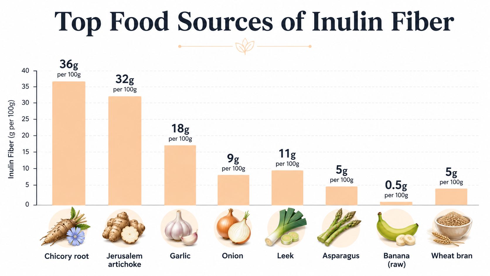 A bar chart titled Top Food Sources of Inulin Fiber showing the concentration of inulin in common foods.