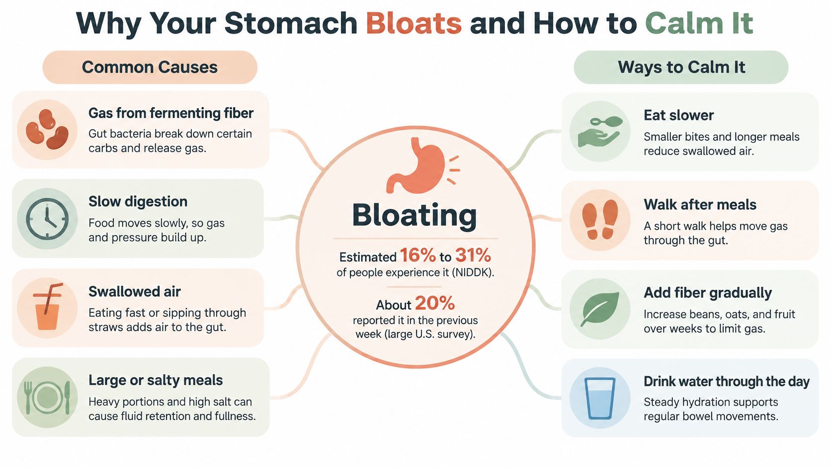 An infographic titled Why Your Stomach Bloats and How to Calm It with causes and solutions.