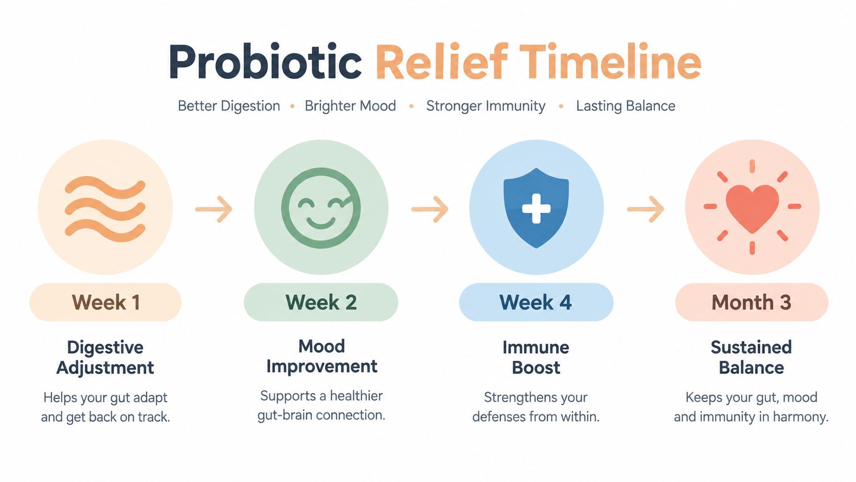 A timeline graphic showing the stages of probiotic benefits for digestion, mood, immunity, and overall balance.