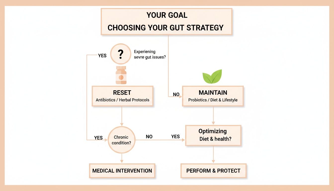 Flowchart outlining decision paths for managing gut health, from reset to maintenance.