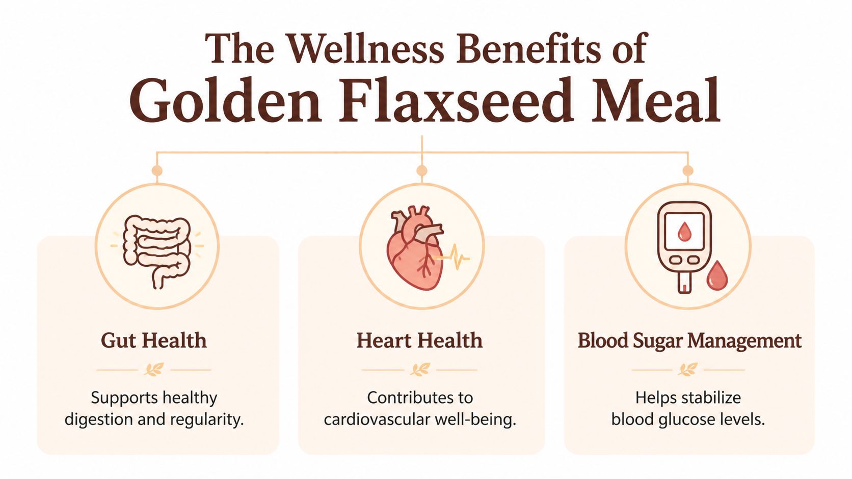 An infographic showing the wellness benefits of golden flaxseed meal, including gut health, heart health, and blood sugar management.