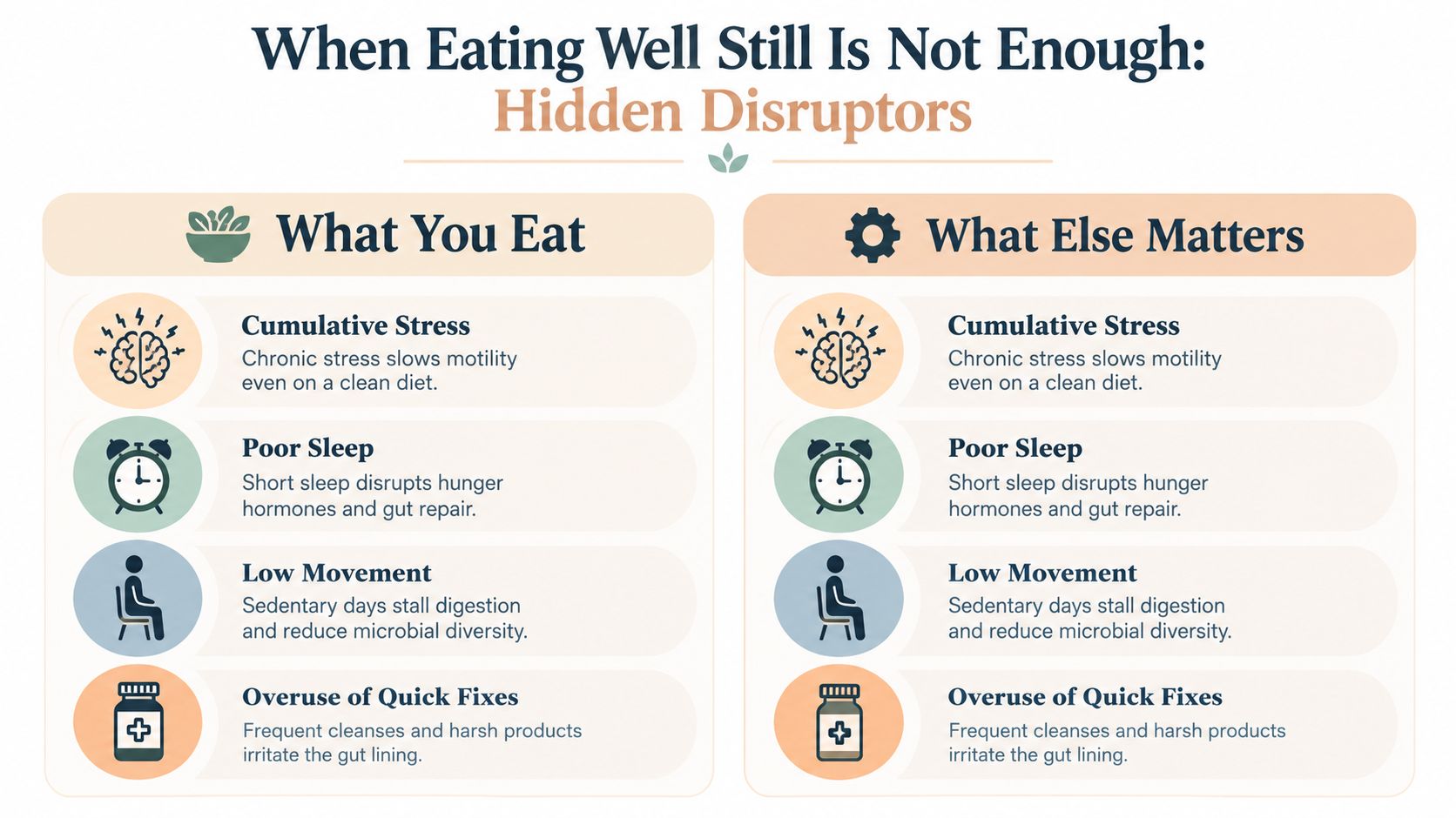 An infographic detailing hidden disruptors to digestive health beyond diet, including stress, sleep, movement, and supplements.