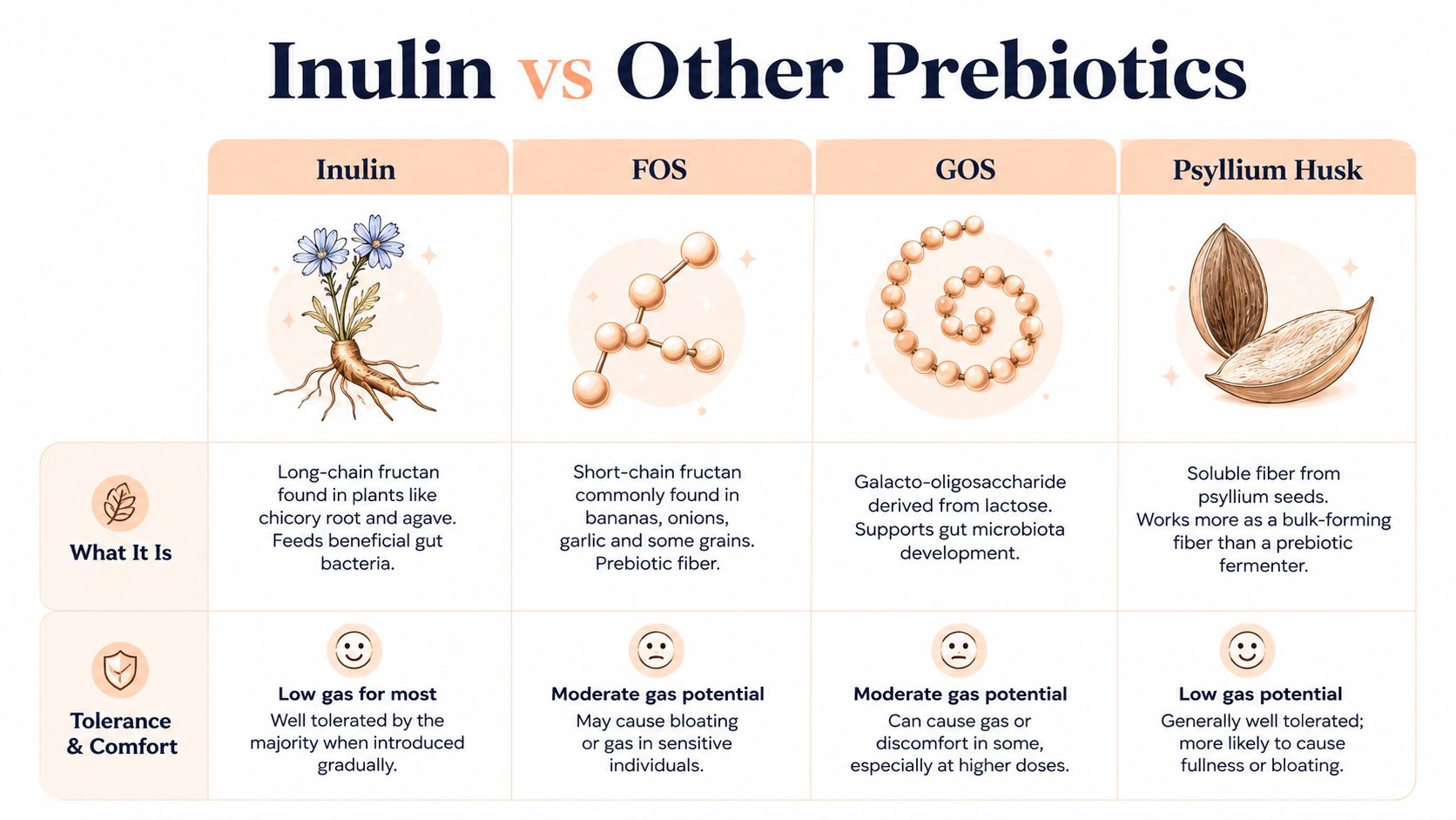 A comparison chart outlining the differences between Inulin, FOS, GOS, and Psyllium Husk prebiotics and their tolerance.