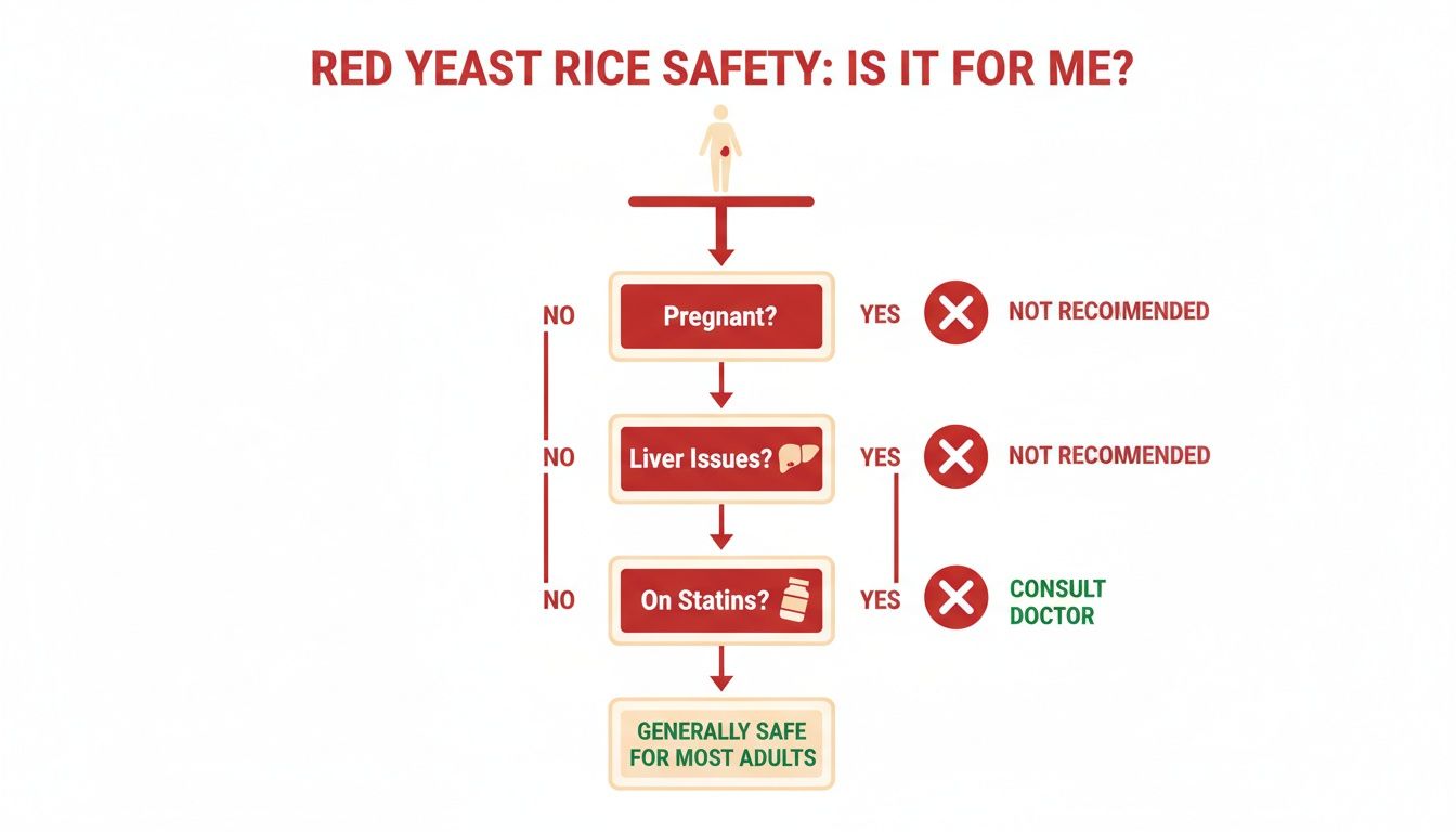Flowchart: Red Yeast Rice safety guide for adults, covering pregnancy, liver, and statins.
