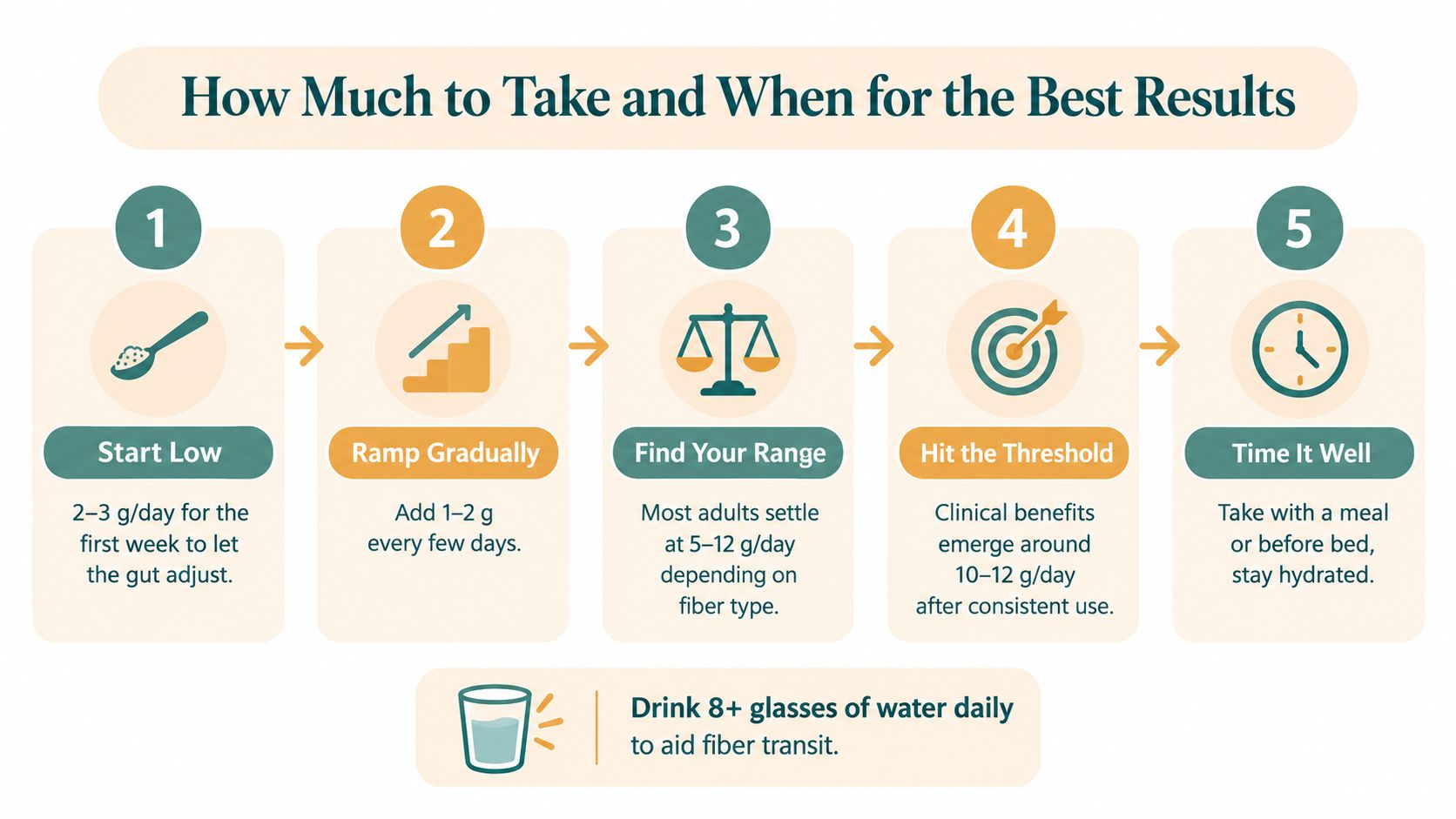 An infographic showing five numbered steps for incorporating fiber or prebiotic powder into your daily diet.