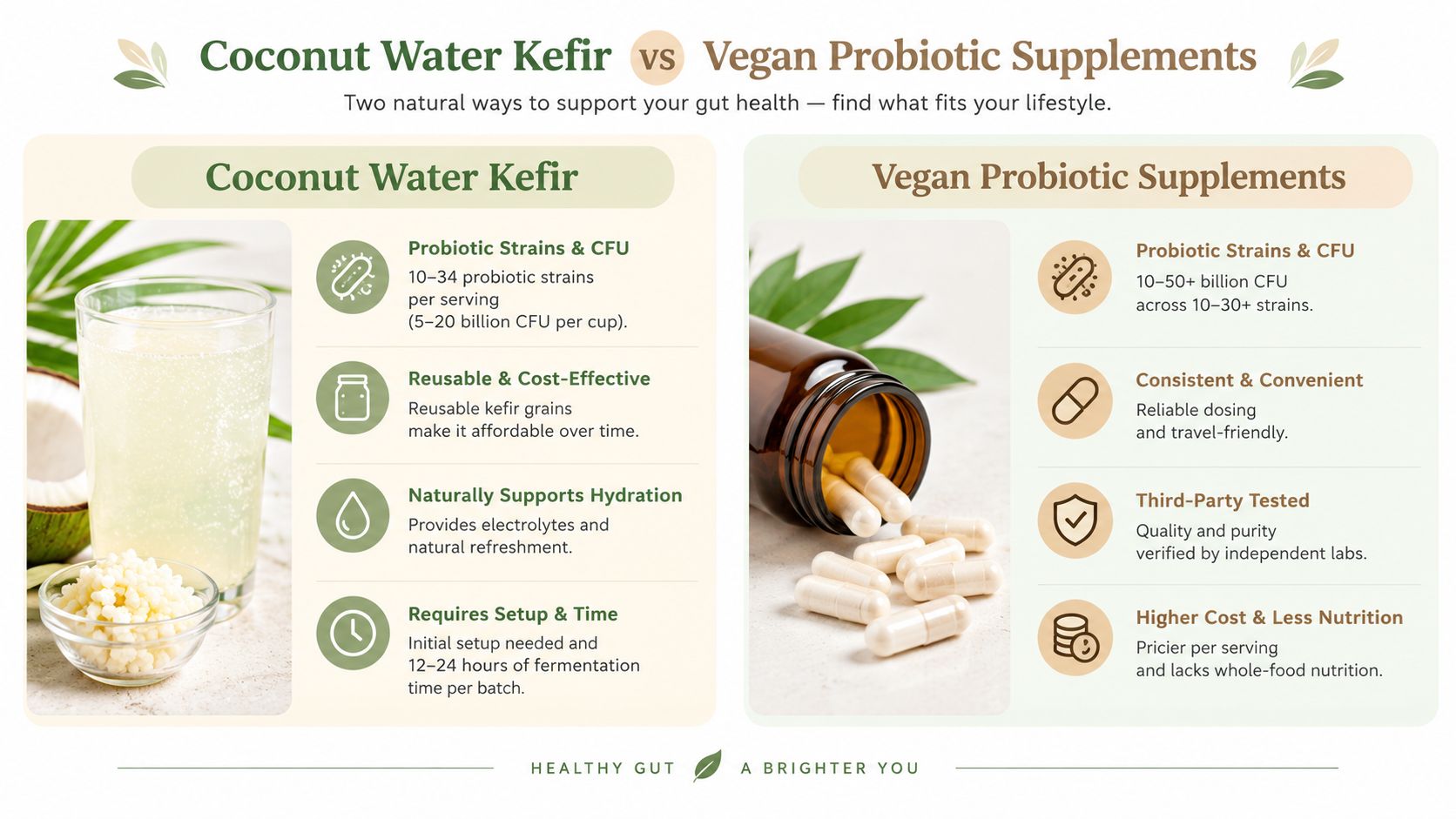 A comparison infographic between coconut water kefir and vegan probiotic supplements for gut health benefits.