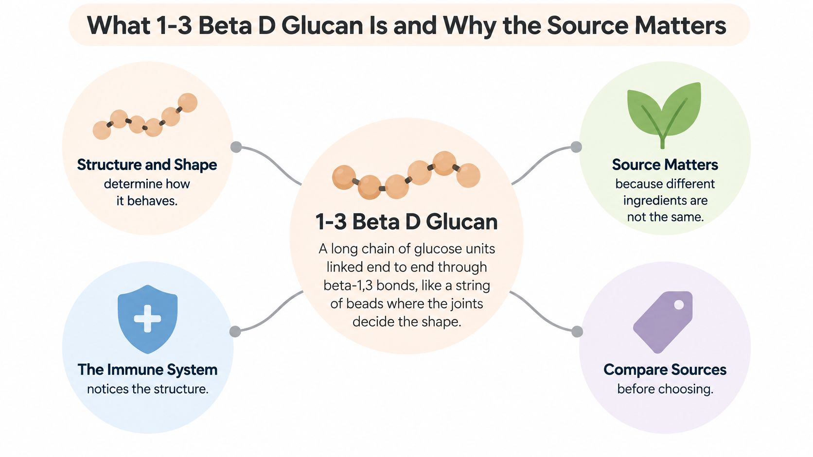 A diagram explaining 1-3 Beta D Glucan, its structure, immune system benefits, and importance of selecting sources.