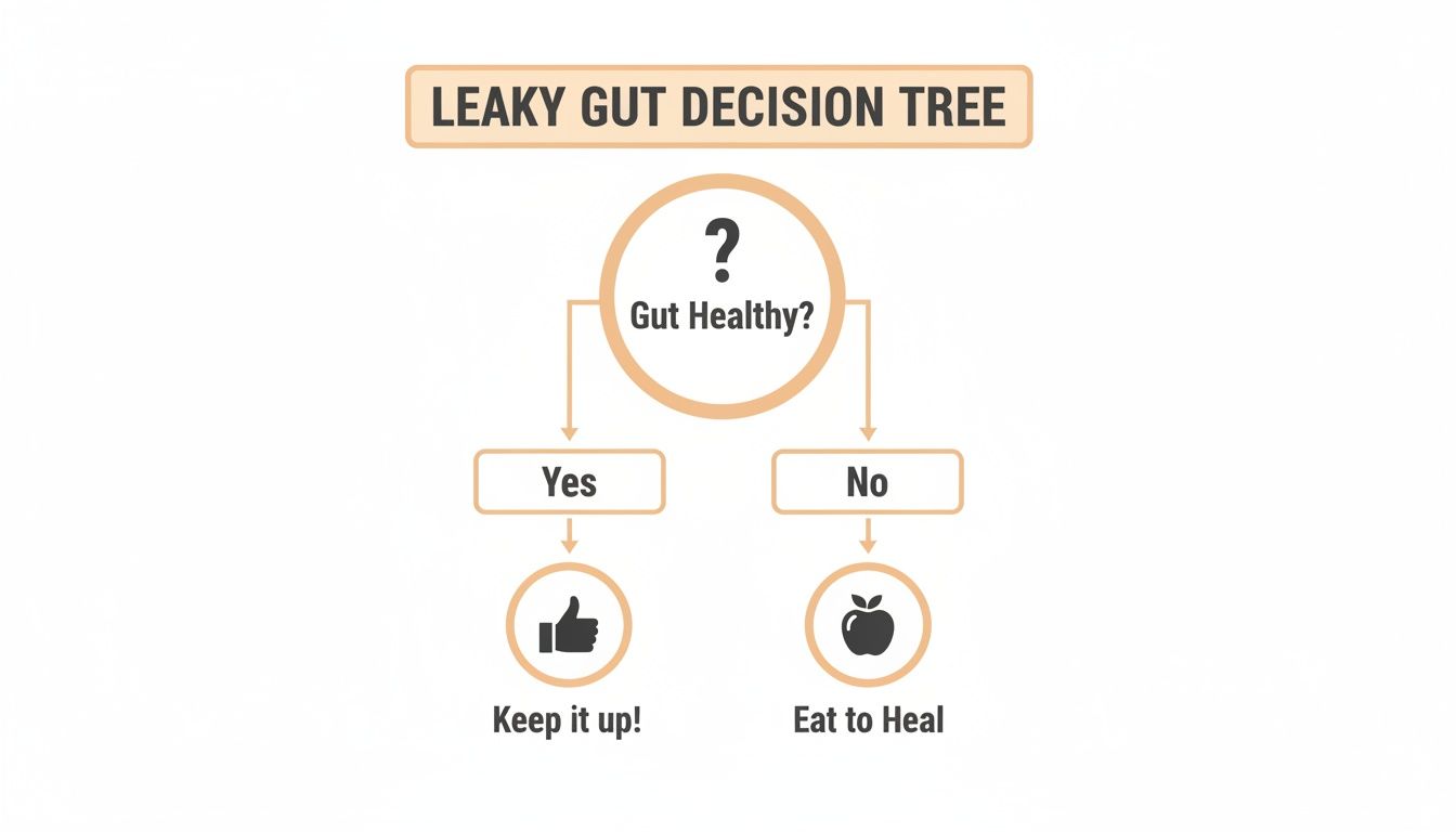 A decision tree flowchart on leaky gut, guiding users to maintain gut health or eat to heal.