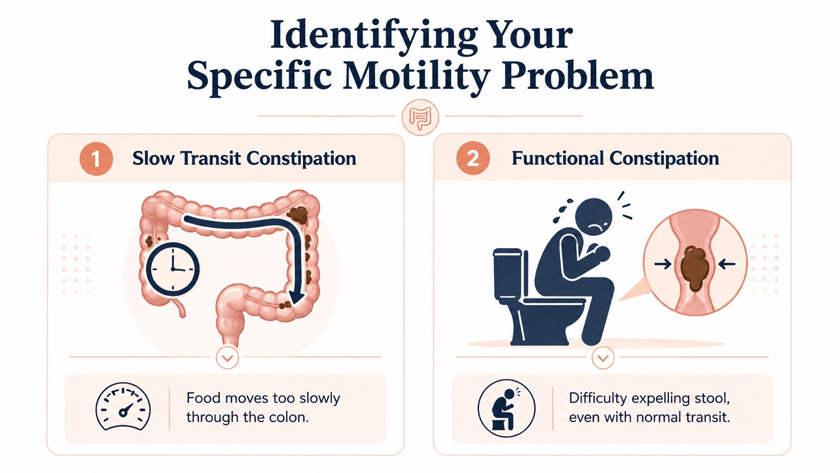 An infographic showing two types of constipation: slow transit constipation and functional constipation with illustrative icons.