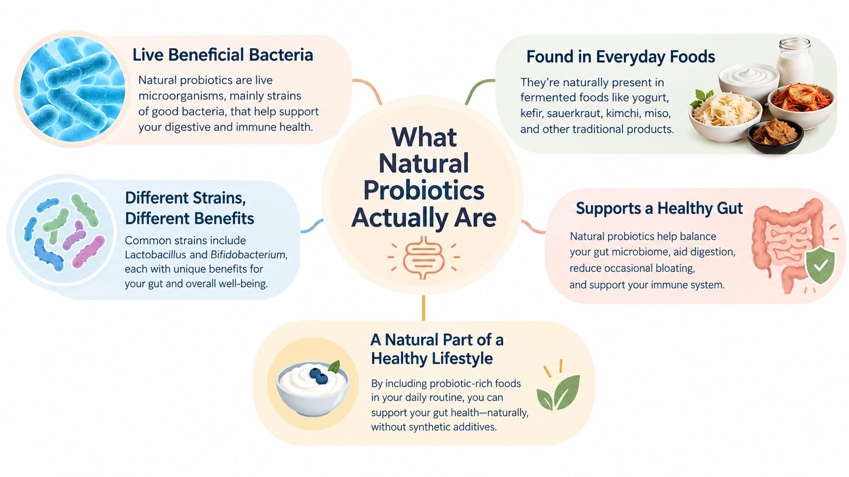 An infographic explaining what natural probiotics are, their benefits for gut health, and foods that contain them.