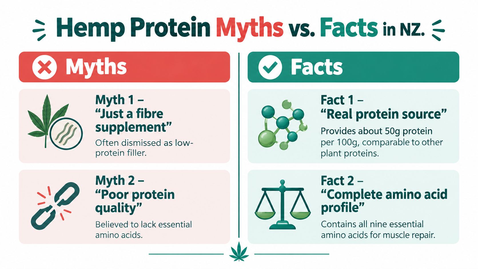 An infographic titled Hemp Protein Myths vs. Facts in NZ highlighting nutritional benefits and quality facts.