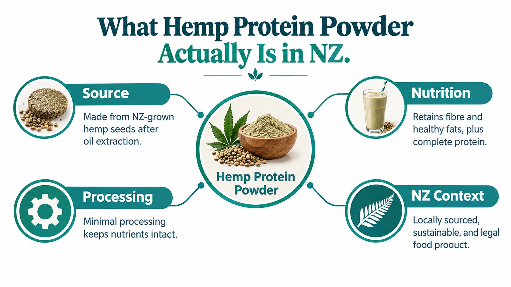 An infographic detailing the source, nutrition, processing, and local New Zealand context of hemp protein powder.