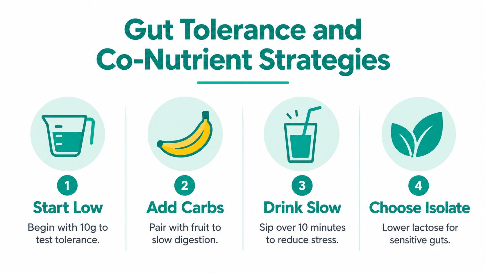 An infographic titled Gut Tolerance and Co-Nutrient Strategies offering four tips for consuming whey protein supplements.