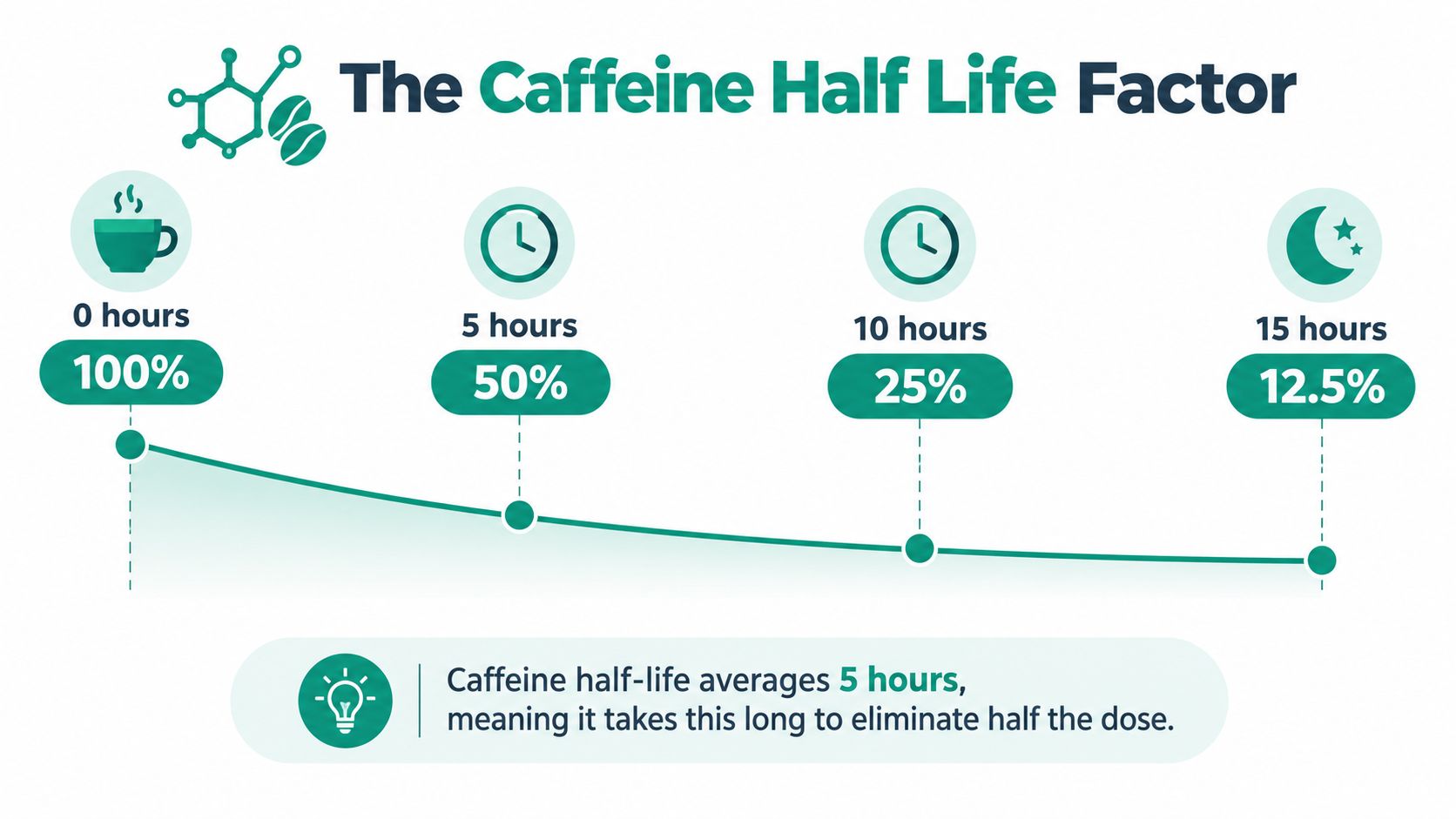 A chart illustrating how caffeine concentration in the body reduces by half every five hours over time.