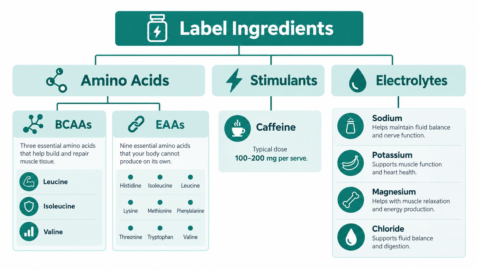 An infographic detailing common ingredients found in energy drinks, categorized into amino acids, stimulants, and electrolytes.