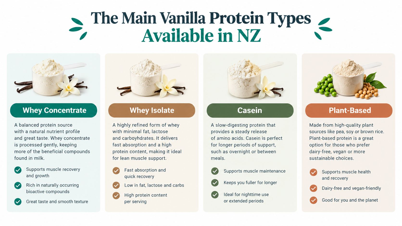 A comparison chart of four common vanilla protein powder types available in New Zealand: Whey, Casein, and Plant-based.