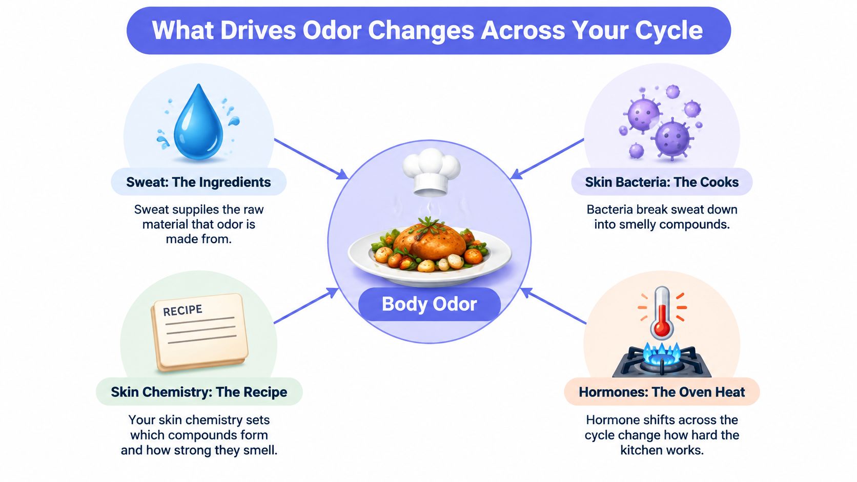 An infographic showing four factors that drive body odor changes during a menstrual cycle, using culinary metaphors.