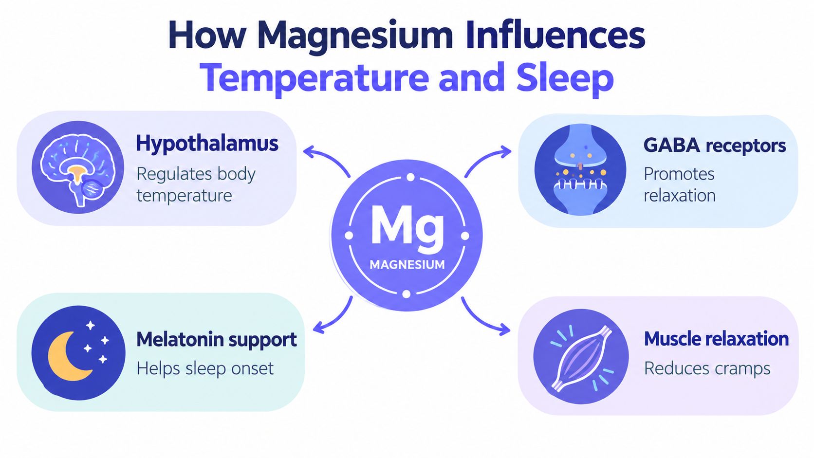 A diagram illustrating how magnesium helps regulate body temperature and improves sleep through various physiological mechanisms.
