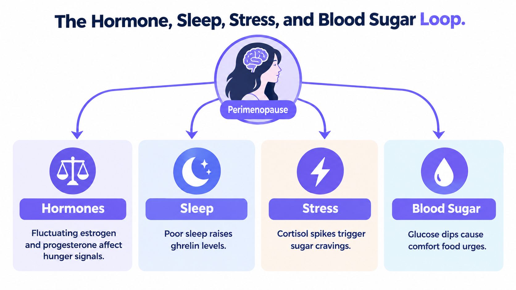 A diagram illustrating how perimenopause affects hormones, sleep, stress levels, and blood sugar balance in women.