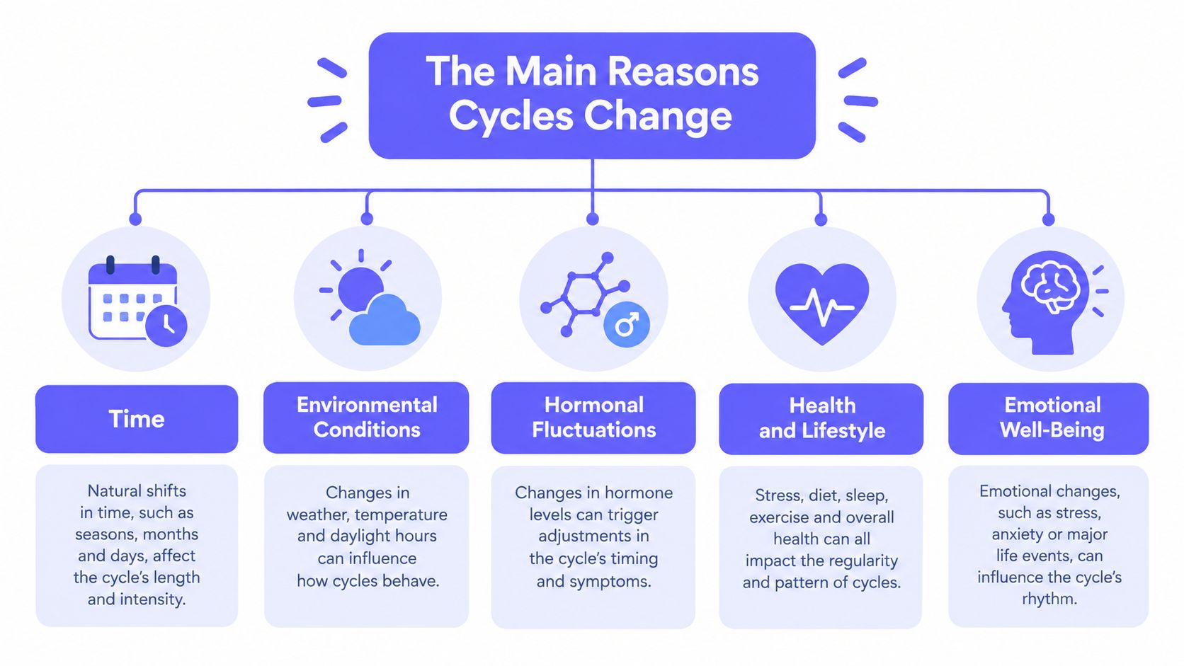 An infographic titled The Main Reasons Cycles Change showing factors like time, environment, hormones, health, and emotions.