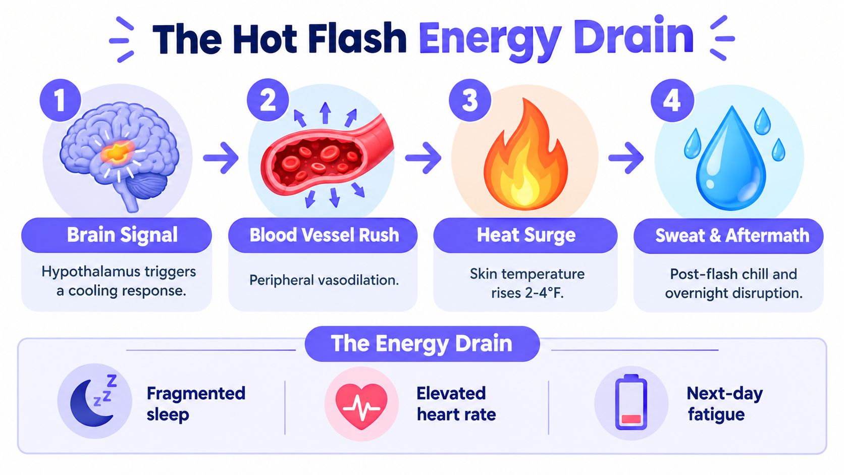 An infographic showing the four-step biological process of hot flashes and their impact on daily energy levels.
