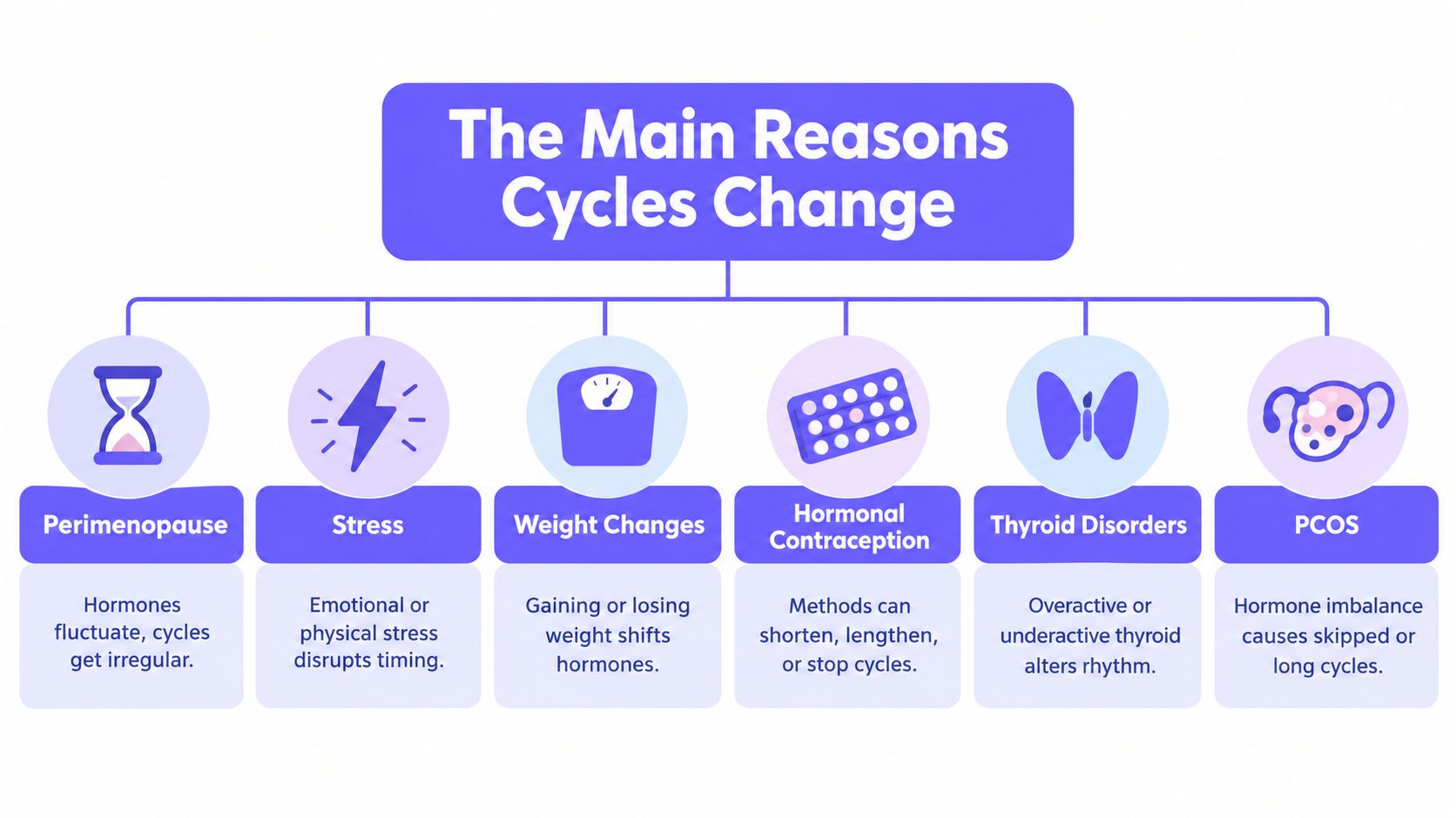 An infographic titled The Main Reasons Cycles Change listing six factors like stress, PCOS, and weight changes.