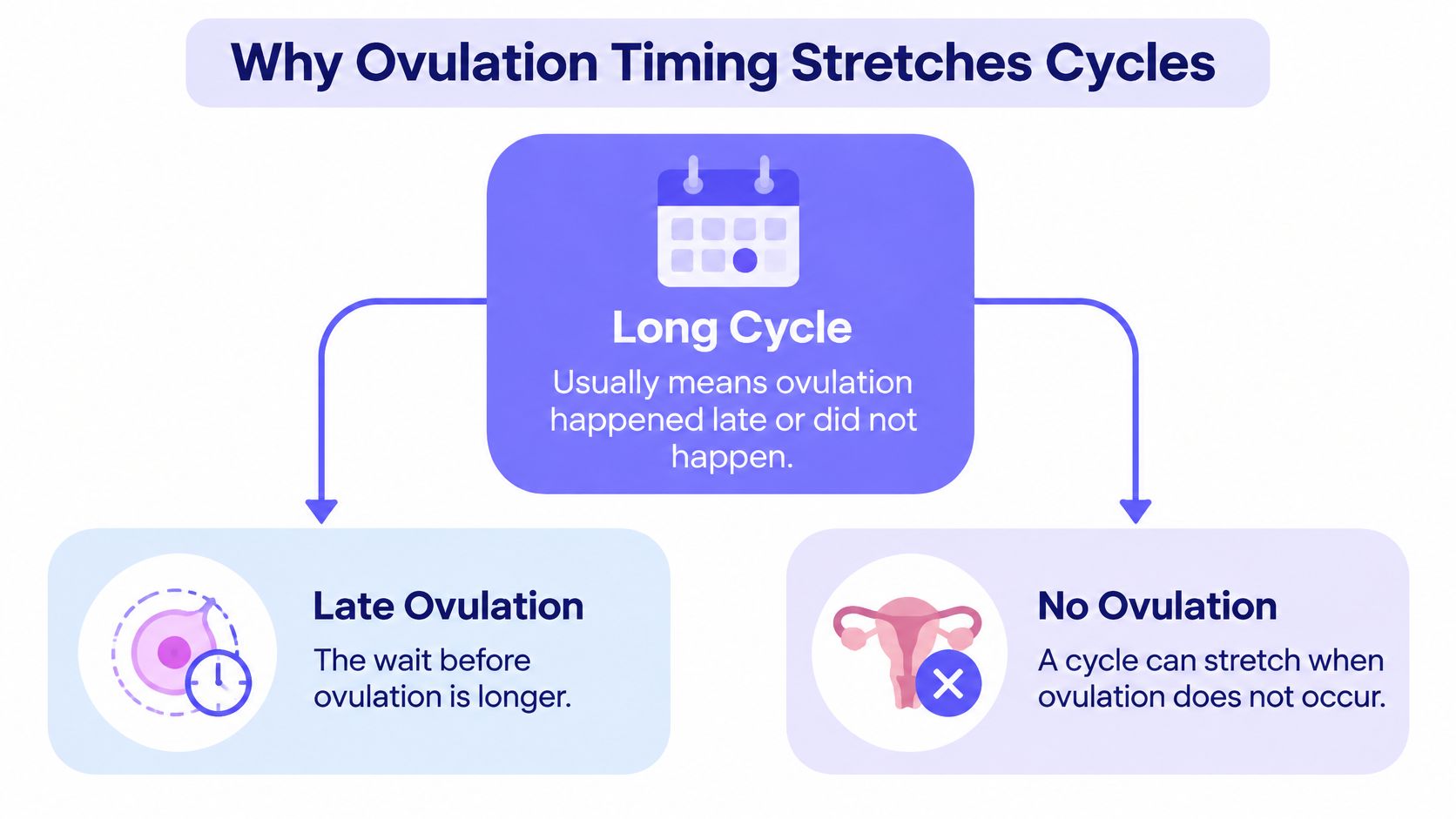 A diagram explaining that long menstrual cycles are usually caused by late ovulation or no ovulation at all.