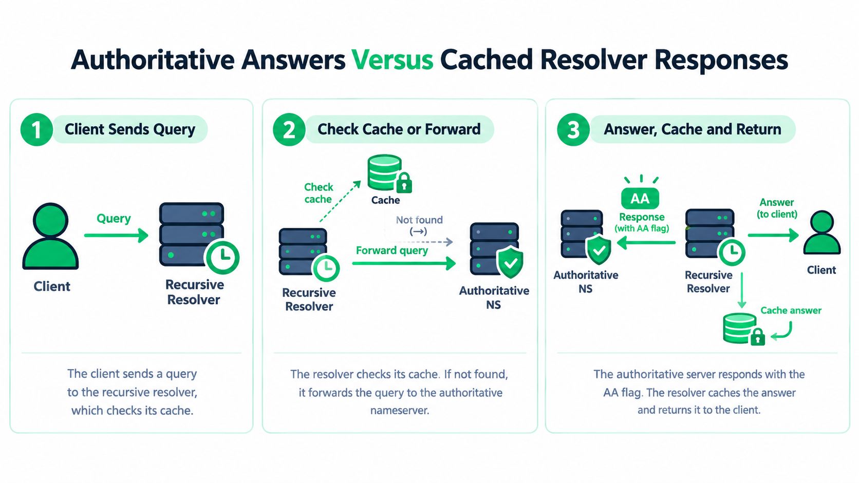A diagram illustrating the process of DNS authoritative answers versus cached resolver responses in three numbered steps.
