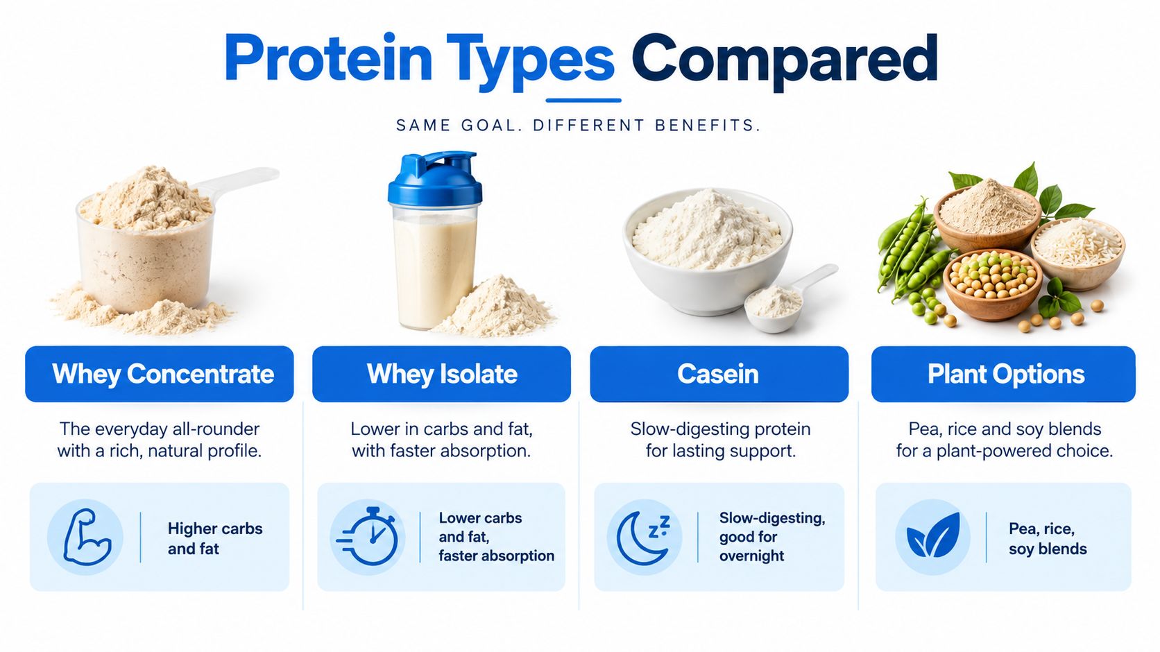 A comparison chart showing four common types of protein powder: Whey Concentrate, Whey Isolate, Casein, and Plant options.