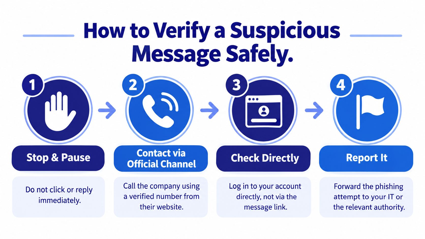 An infographic showing four numbered steps to safely verify and report a suspicious phishing message.