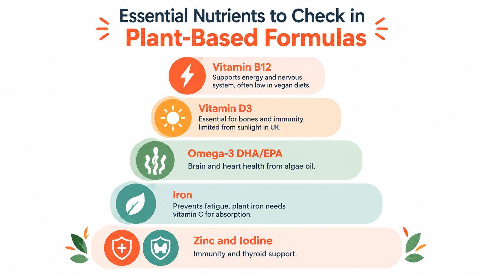 A visual guide outlining essential nutrients for plant-based diets, including Vitamin B12, D3, Omega-3, Iron, Zinc, and Iodine.