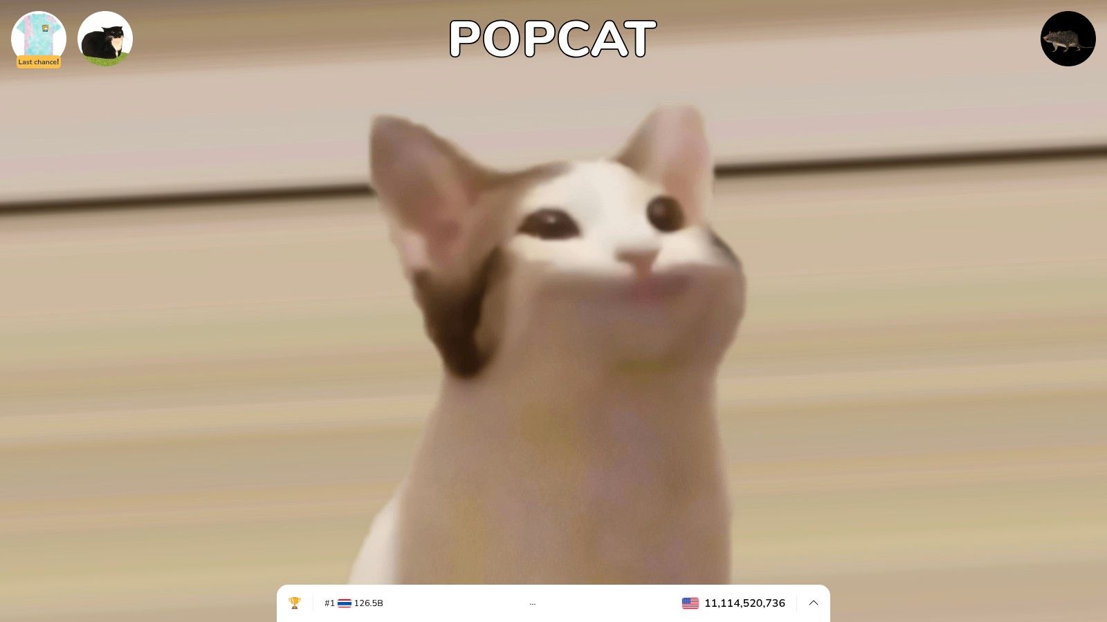 POPCAT (POPCAT)