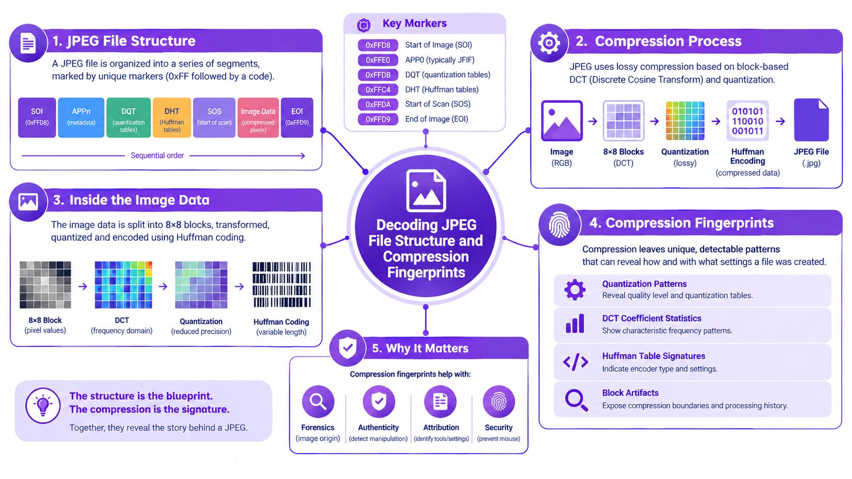 An infographic diagram explaining the structure, compression process, and forensic analysis of JPEG image files.